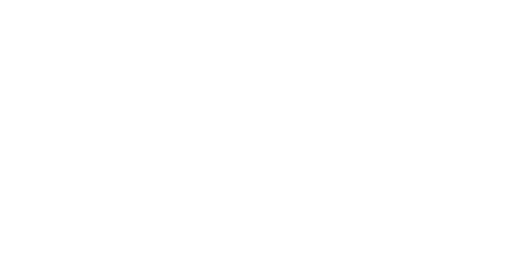 DLT Germany