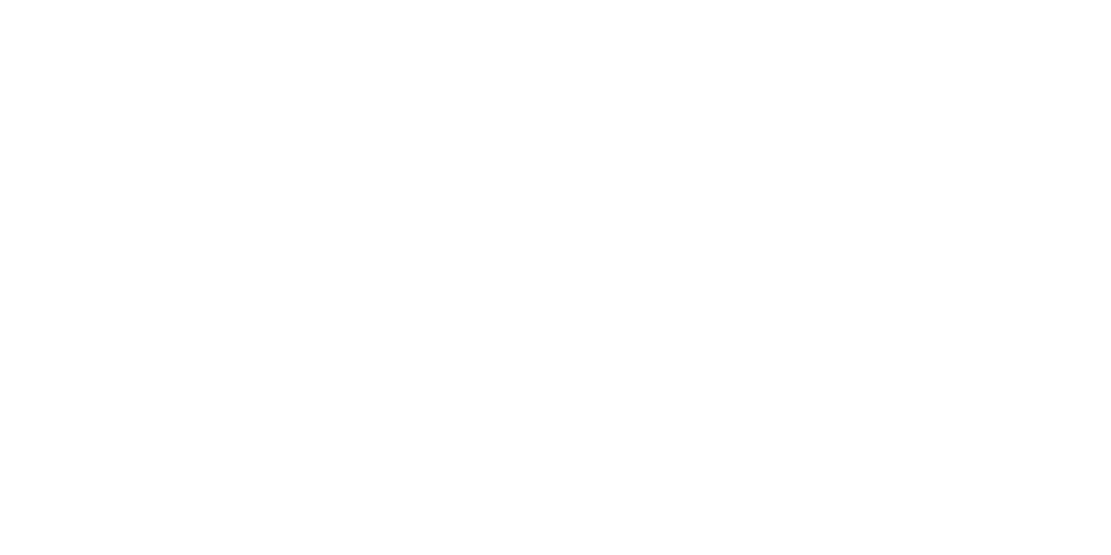 FinTech Consult